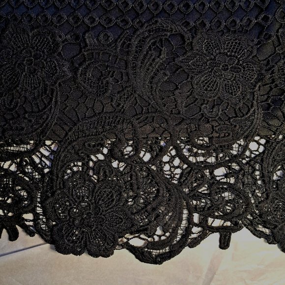 MOLLY BRACKEN NWT LACE Skirt Sz Medium ELASTIC WAIST lined OFFICE FORMAL BLACK - Picture 3 of 13